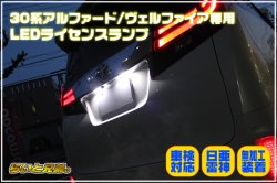 画像1: 30系アルファード/ヴェルファイア専用 日亜雷神LEDライセンスランプ